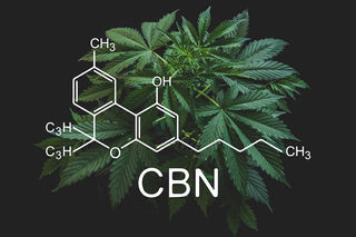 What Is CBN (Cannabinol) - How Is It Similar And Different from CBD?