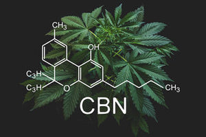 What Is CBN (Cannabinol) - How Is It Similar And Different from CBD?