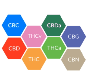 Full Spectrum CBD VS CBD Isolate.