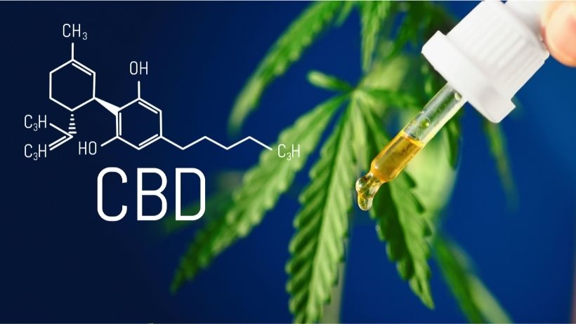 10 Fun and  Interesting Facts about CBD