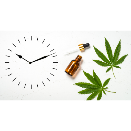 What Is The Best Time To Take CBD Products?