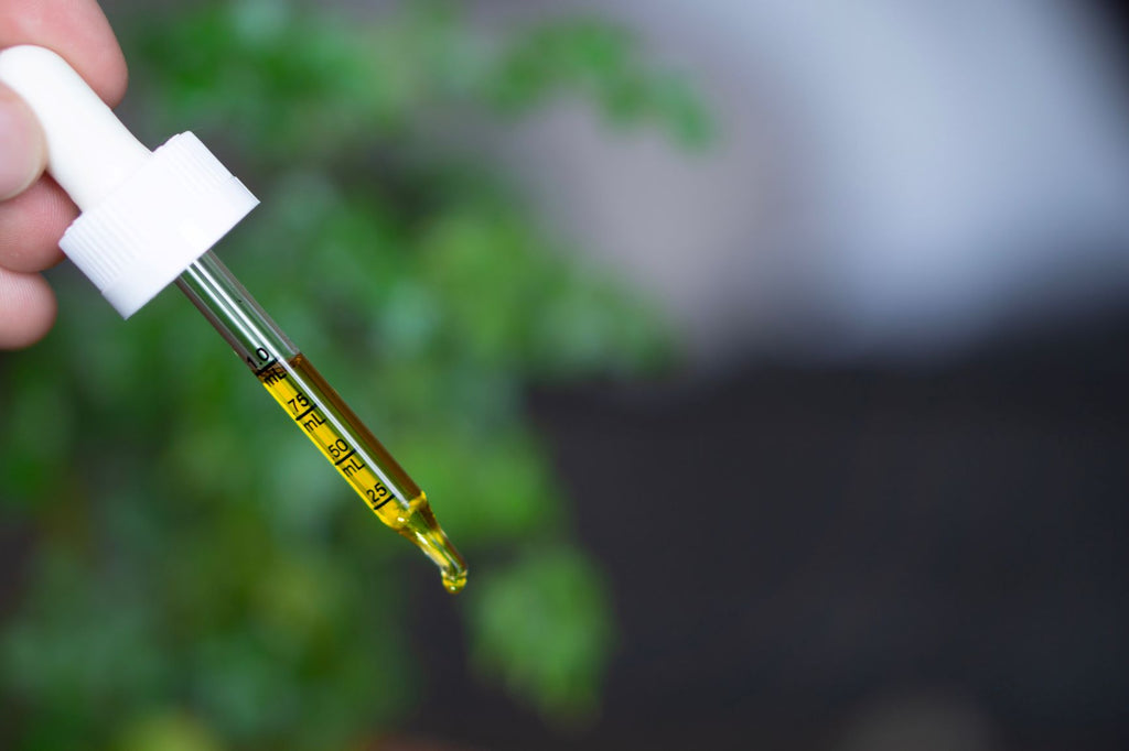 The Most Frequent Questions Being Asked About CBD