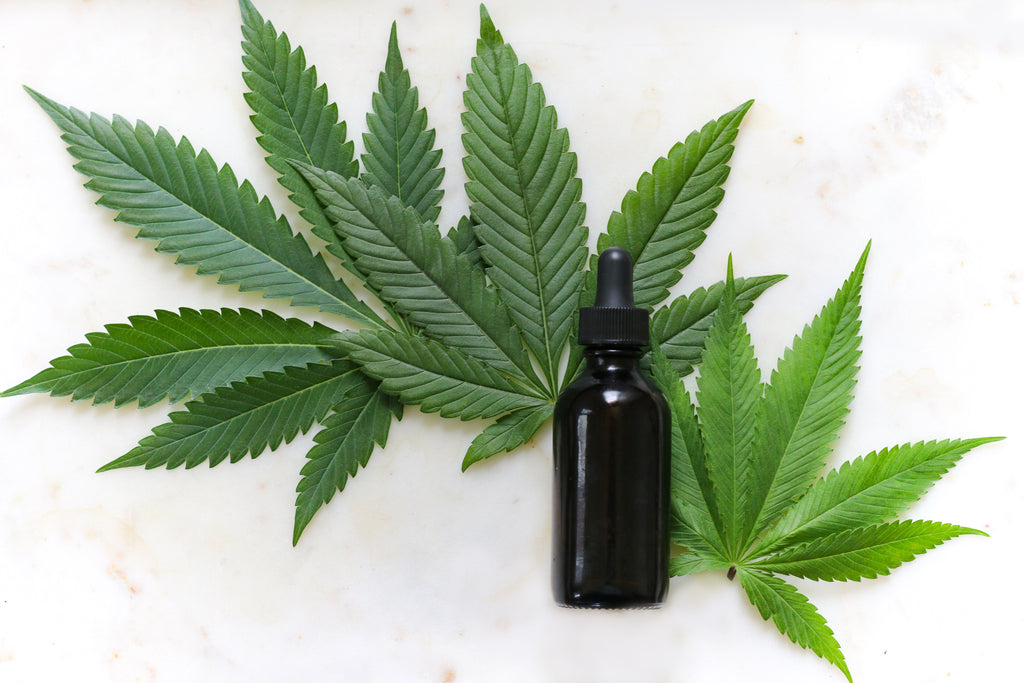The CBD Low Down: Facts vs Myths